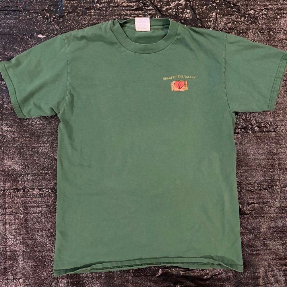 Hanes Men's Green T-shirt